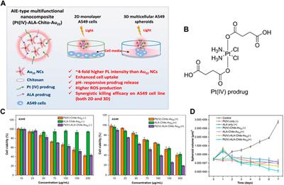 Amplifying the efficacy of ALA-based prodrugs for photodynamic therapy using nanotechnology